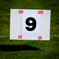 Lincoln Mixed Ultimate Spring Reign